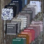 Próbnik naszych kolorów - 5 próbek